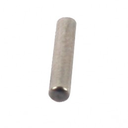 2x10mm Pin (10pcs) R106102