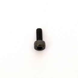 2.5x6mm Cap Screw (10) R805299