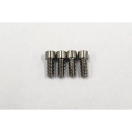 Reve D SPM titanium M2 x 5mm cap screw (4 pieces)
