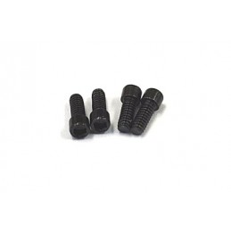 Reve D M2 x 5mm Cap Screw...
