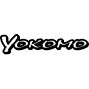 team yokomo